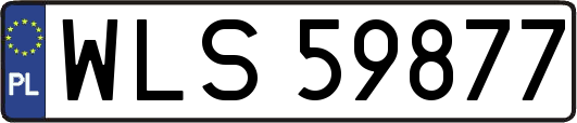 WLS59877