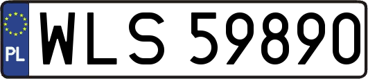 WLS59890