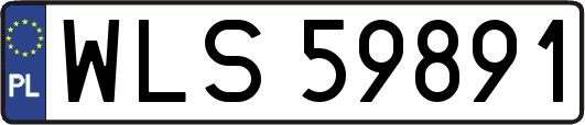 WLS59891
