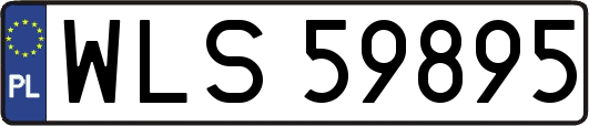 WLS59895