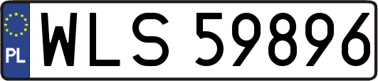 WLS59896