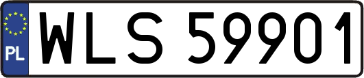 WLS59901