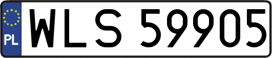 WLS59905