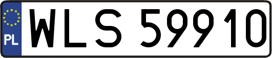WLS59910