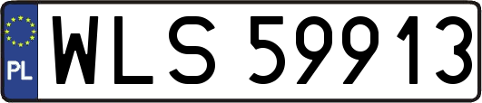 WLS59913