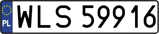 WLS59916