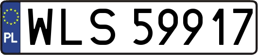 WLS59917