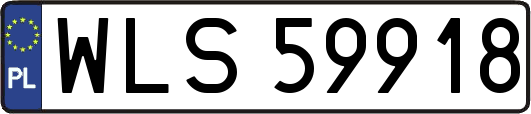 WLS59918