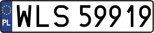 WLS59919