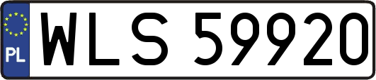 WLS59920