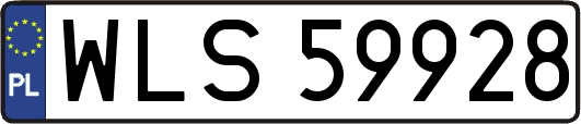 WLS59928