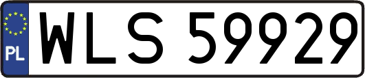 WLS59929
