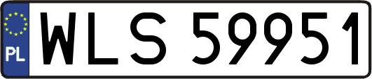 WLS59951