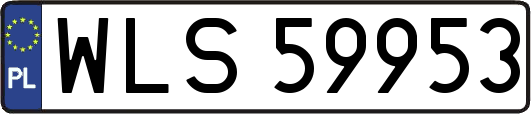 WLS59953