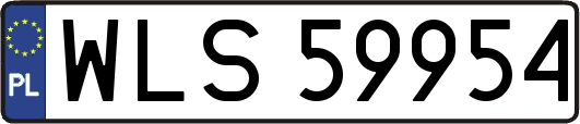 WLS59954