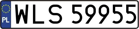 WLS59955