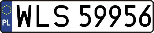 WLS59956