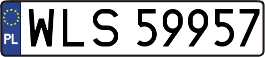 WLS59957