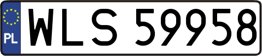 WLS59958