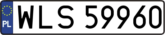 WLS59960
