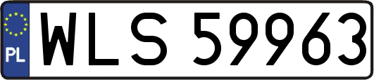 WLS59963