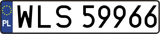 WLS59966