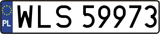 WLS59973