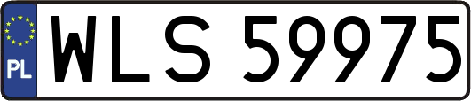 WLS59975