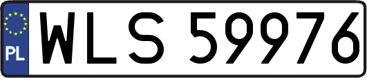 WLS59976