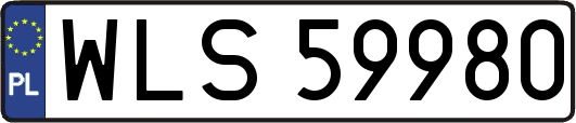 WLS59980