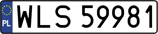 WLS59981