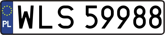 WLS59988
