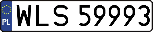 WLS59993
