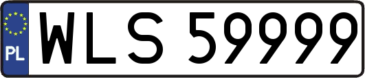WLS59999