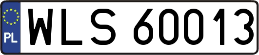 WLS60013
