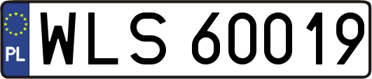 WLS60019