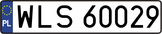 WLS60029