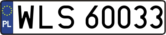 WLS60033