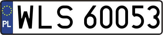 WLS60053