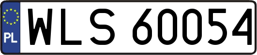 WLS60054