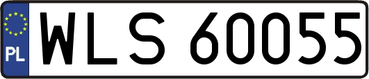 WLS60055