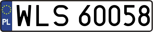WLS60058