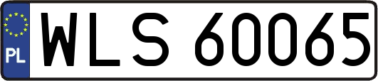 WLS60065
