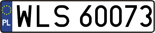 WLS60073