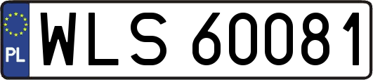 WLS60081