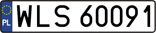 WLS60091