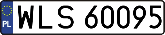 WLS60095