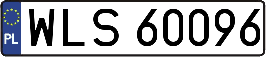 WLS60096