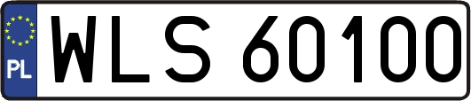 WLS60100