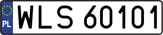 WLS60101